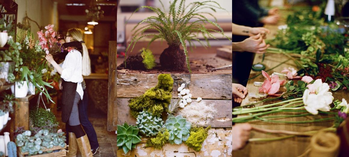 Botany Floral Studio 6473416646 Toronto Florist Flower Delivery